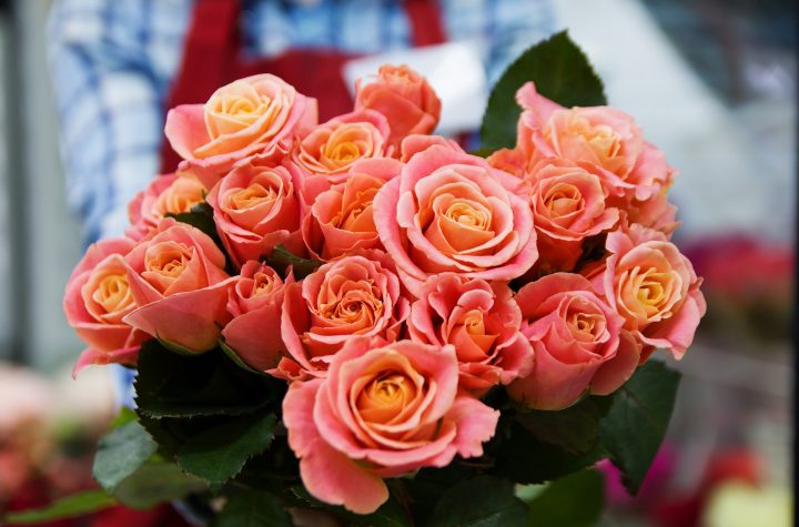 Buying Roses Online: How to Get the Best Quality for a Great Price